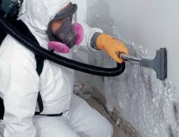 Best Asbestos and Lead Testing During Mold Inspection  in Stanberry, MO